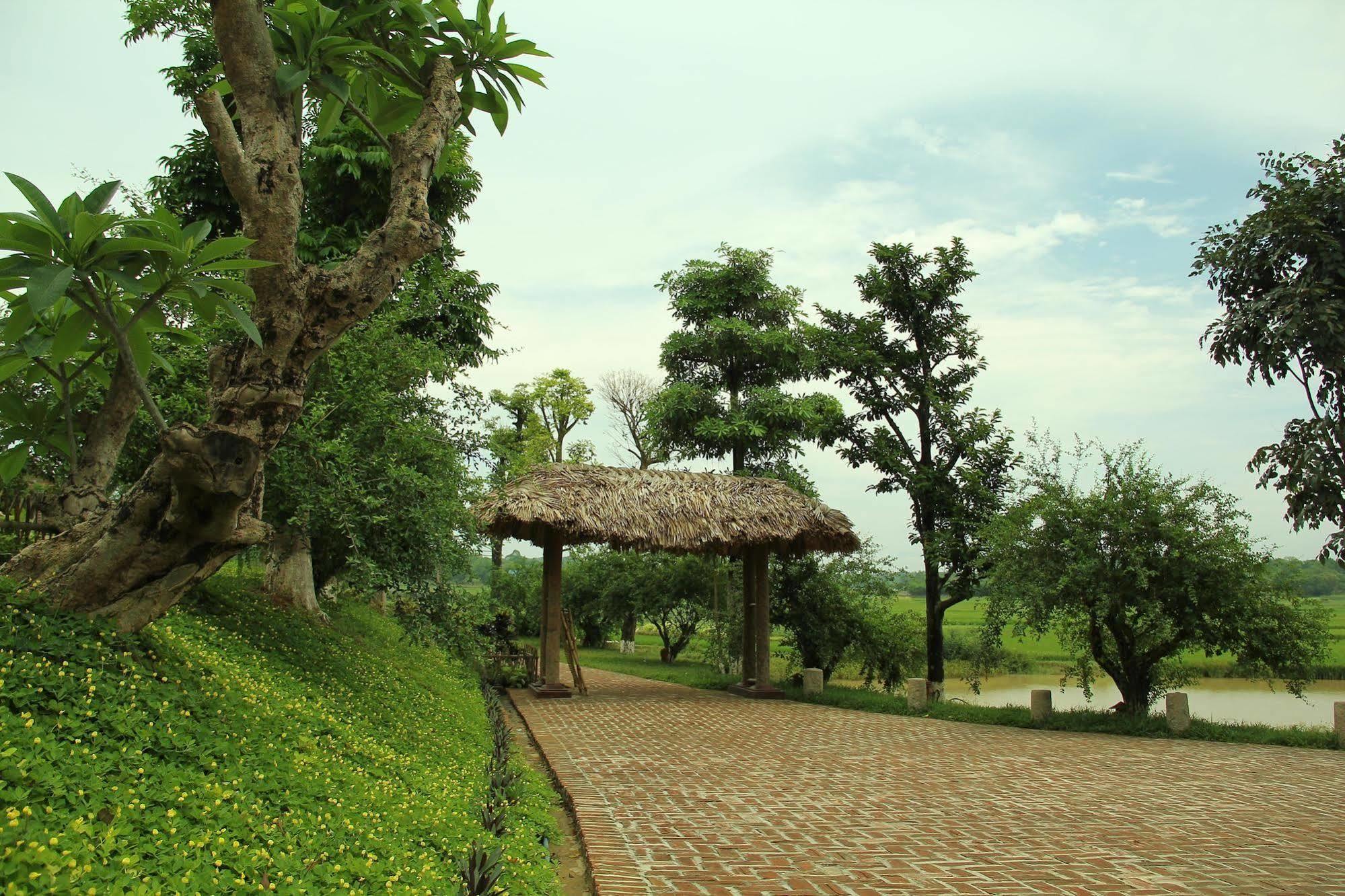 Moon Garden Homestay Son Tay Exteriér fotografie